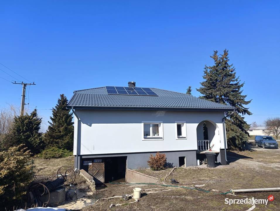 Syndyk sprzeda Rogalin 605zł/m2