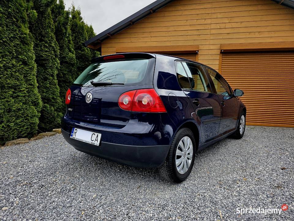 Volkswagen Golf 2005r 14 BENZYNA Golf Strzyżów