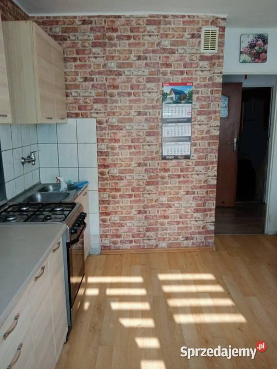 Mieszkanie Wiśniowo Ełckie 50 m2