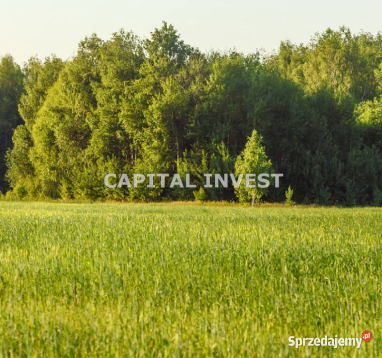 Grunt 1200m Wrocław Sprzedaż dolnośląskie