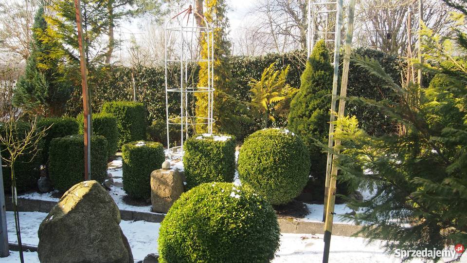 ogródek działkowy sprzedam