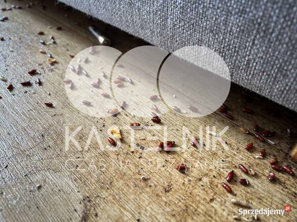 Sprzątanie zgonach KrynicaZdrój Dezynfekcja