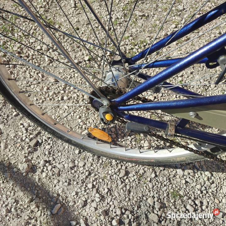 KRower damka CALVIN 26 Włoszczowice