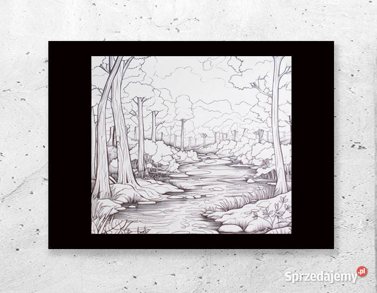 czarno biały plakat z pejzażem skandynawski Rzeszów sprzedam