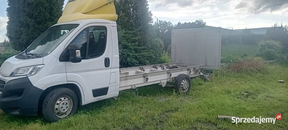 Fiat Ducato 2018 Idealny pod Autolawete Rok produkcji 2018 Nysa