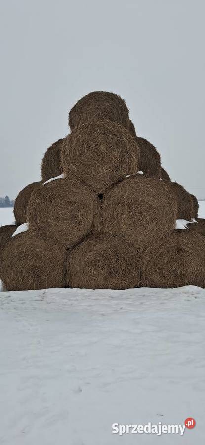 Sprzedam słomę z sezonu 2025 Łęczna