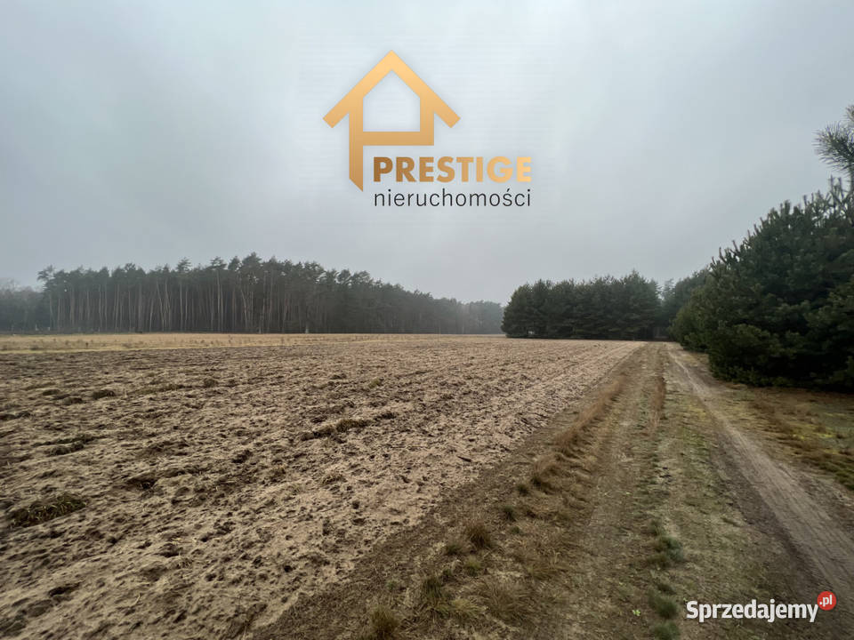 Działki rekreacyjne Jeziorem Powidzkim 79zł/m2 Skrzynka