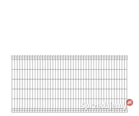 Panel 3D 250x123 fi 4mm oczko 200x500mm RAL 7016 Siatki i panele Wrocław