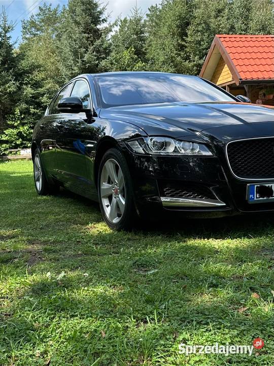 Sprzedam Jaguar xf 90700km Turośl sprzedam