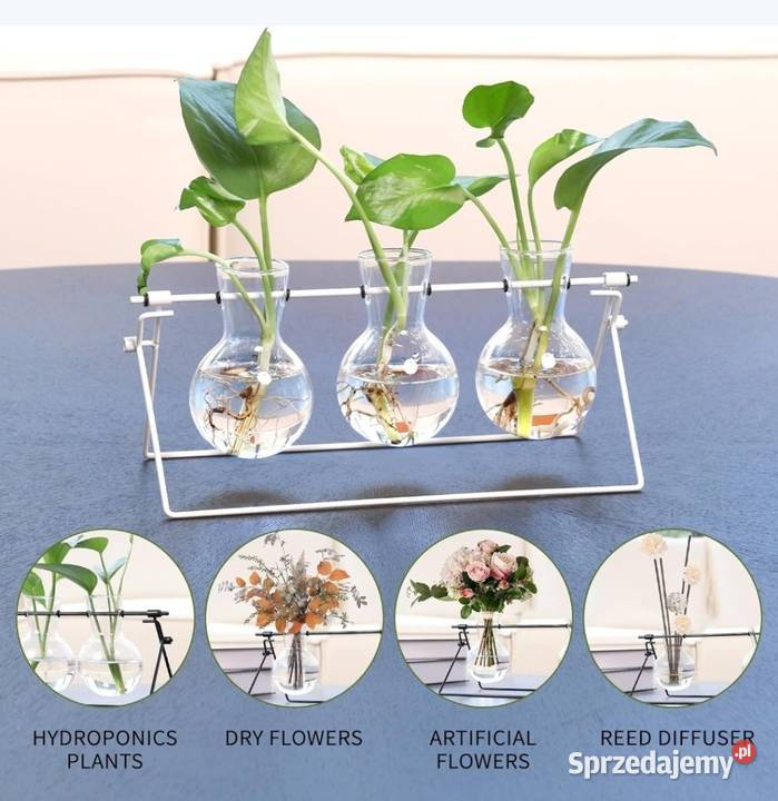 Stacja do rozmnażania roślin wazon stojak Domaszczyn