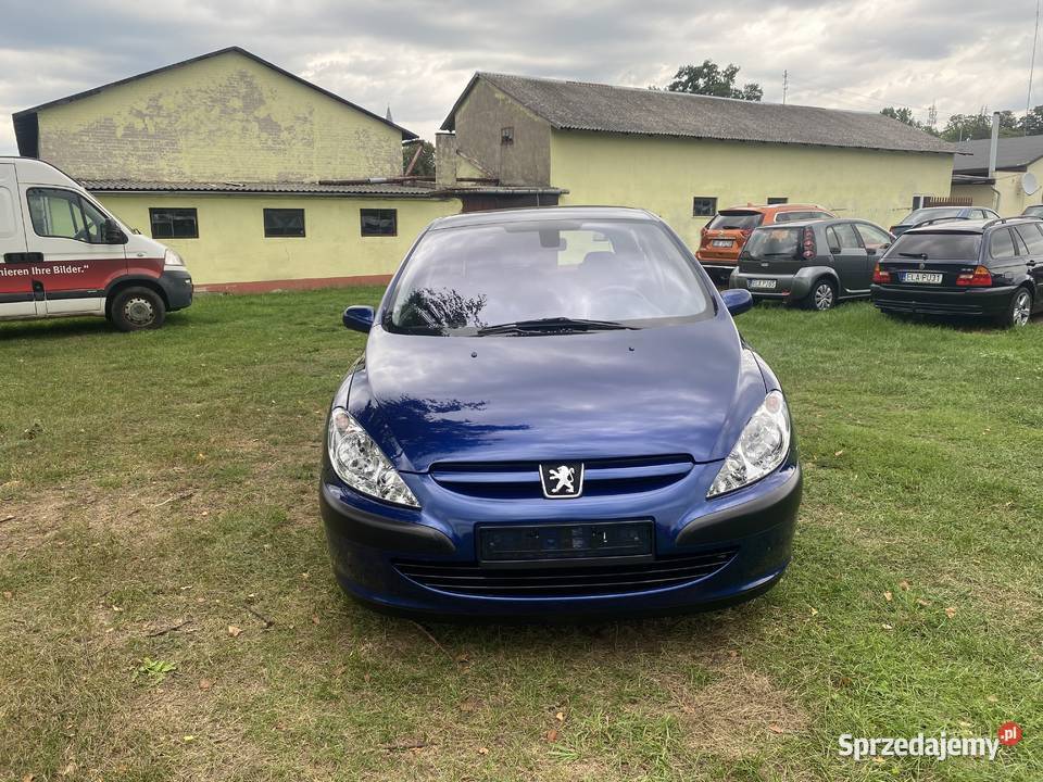 ŚLICZNY PEUGEOT 307 16 b łódzkie Łask sprzedam