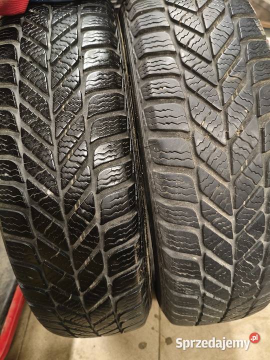 Opony zimowe Dębica Frigo 1657014 Motoryzacja Stasin sprzedam