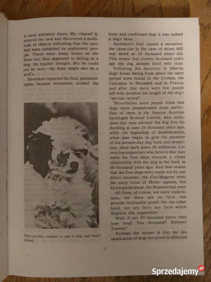 Animals on a Pedestal Dmitriyev Gdańsk