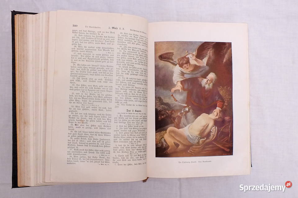 Stara biblia ilustrowana Lubin