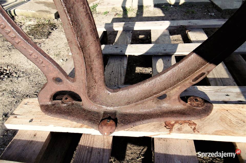 gilotyna DRGM DO SŁOMY czcina wierzba strzecha