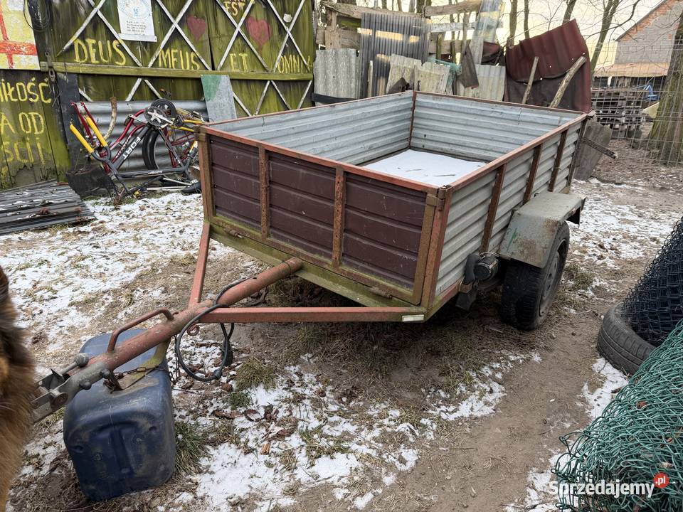 Syndyk sprzeda Przyczepa lekka SAM wielkopolskie Koło