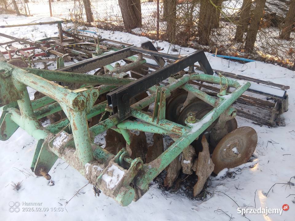 Talerzowka Brony Rozalin