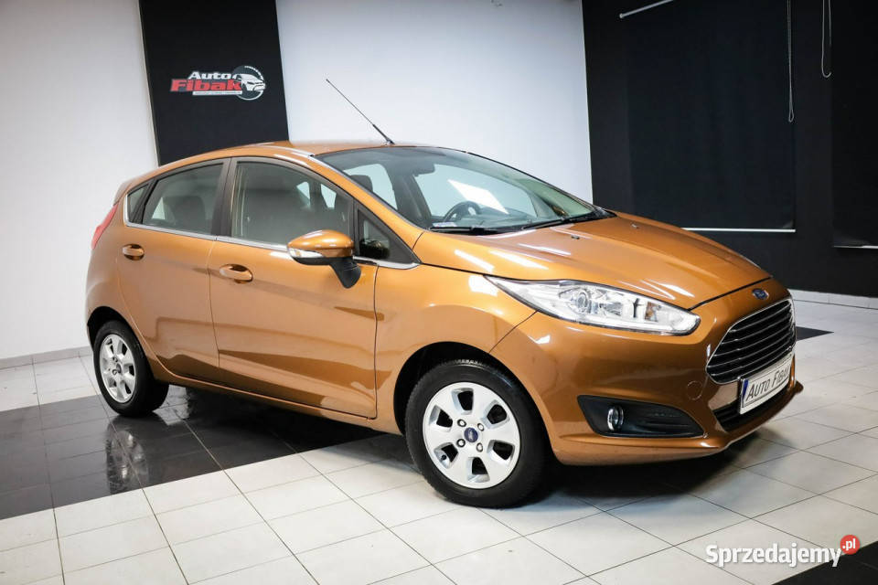 Ford Fiesta 10 Ecoboost80000Salon 998cm3 Konstantynów Łódzki