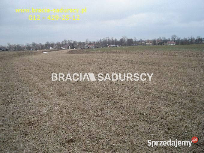 Działka 8900m2 Niewiarów