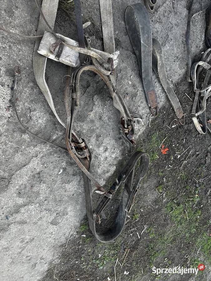 Puszorek do konia Mutowo