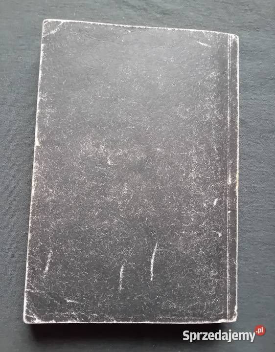 Zbigniew Nienacki Wielki las PIW 1987 r Wydanie Koźminek