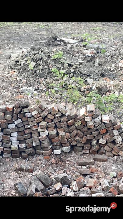 Cegła rozbiórkowa 24 x 12 x 6 050 pln sztuka Oborniki Śląskie