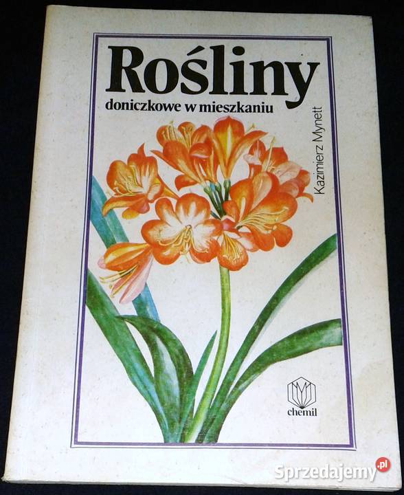 Rośliny doniczkowe w mieszkaniu Kazimierz Mynett Chełm