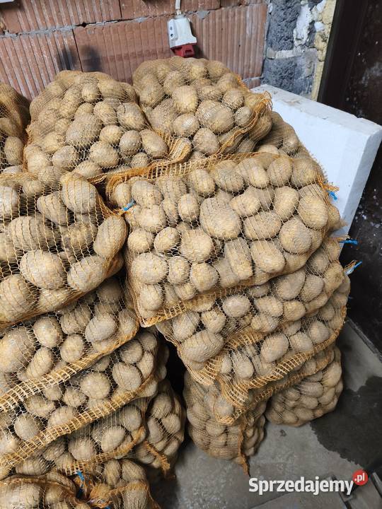 Ziemniaki Soraya kaliber 4580 małopolskie Bukowska Wola