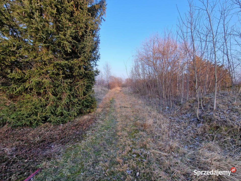 Nieruchomość na sprzedaż Kamiennik