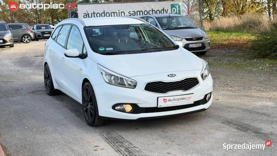 Kia Ceed Raty 14 benz Nowy rozrzad Nowe opony