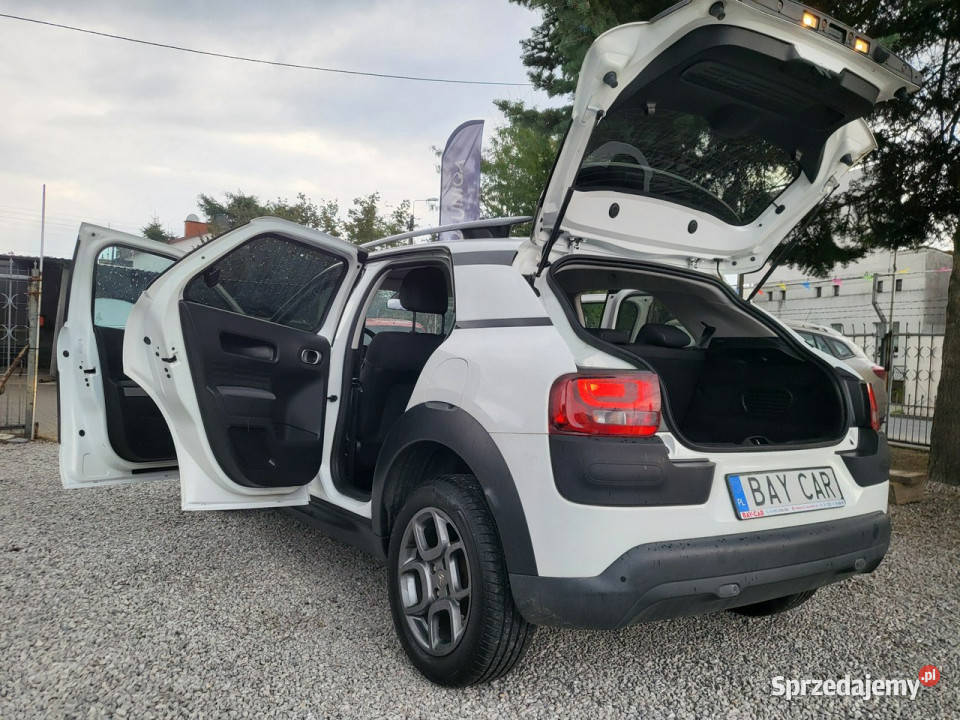 Citroen C4 Cactus 16 100 100 Oryginał 100 C4 Cactus Pabianice