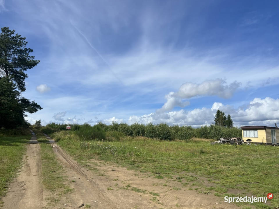 Działka siedliskowa 3 003 m z prawem zabudowy pomorskie Sopieszyno