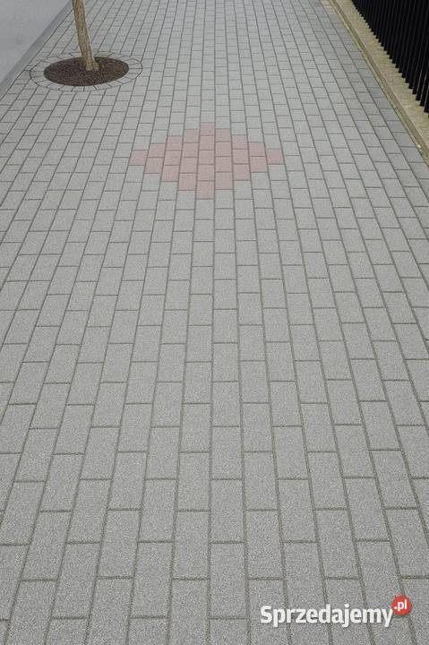 Mycie czyszczenie kostki brukowej Bełchatów