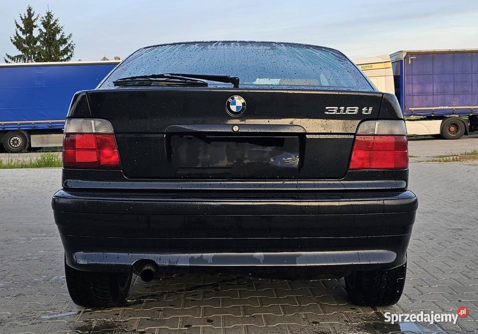 BMW E36 318ti Compact w Automacie bez grama rdzy Rok produkcji 1998 Września