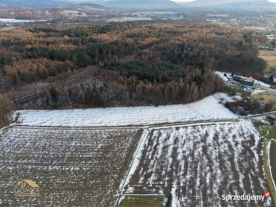 Działkę sprzedam Skoczów 13041m2 szambo