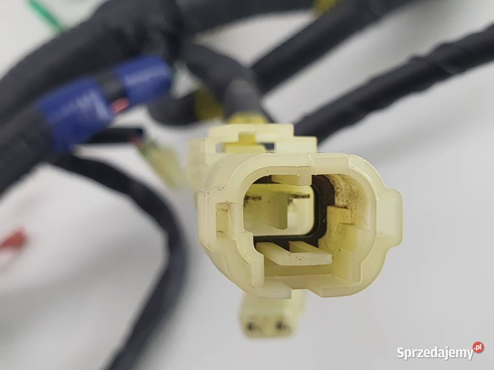 WIAZKA ELEKTRYCZNA INSTALACJA CECTEK 500 Wiązki elektryczne Janowice sprzedam