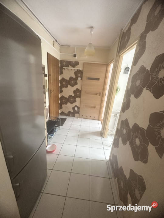 Do wynajęcia mieszkanie 2 pokojowe balkon Kraków