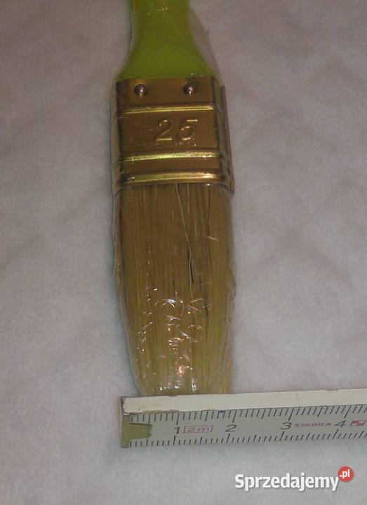 Pędzel angielski 25mm plastikowy trzonek Czeladź