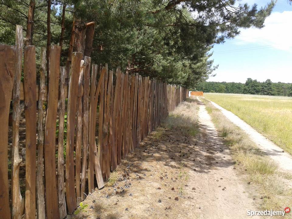 Działka budowlanazalesiona koło Warki Kępa Niemojewska
