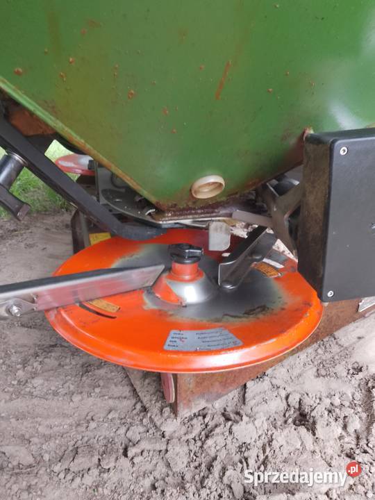 Sprzedam pszenżyto avocado Zboża Szczytniki sprzedam