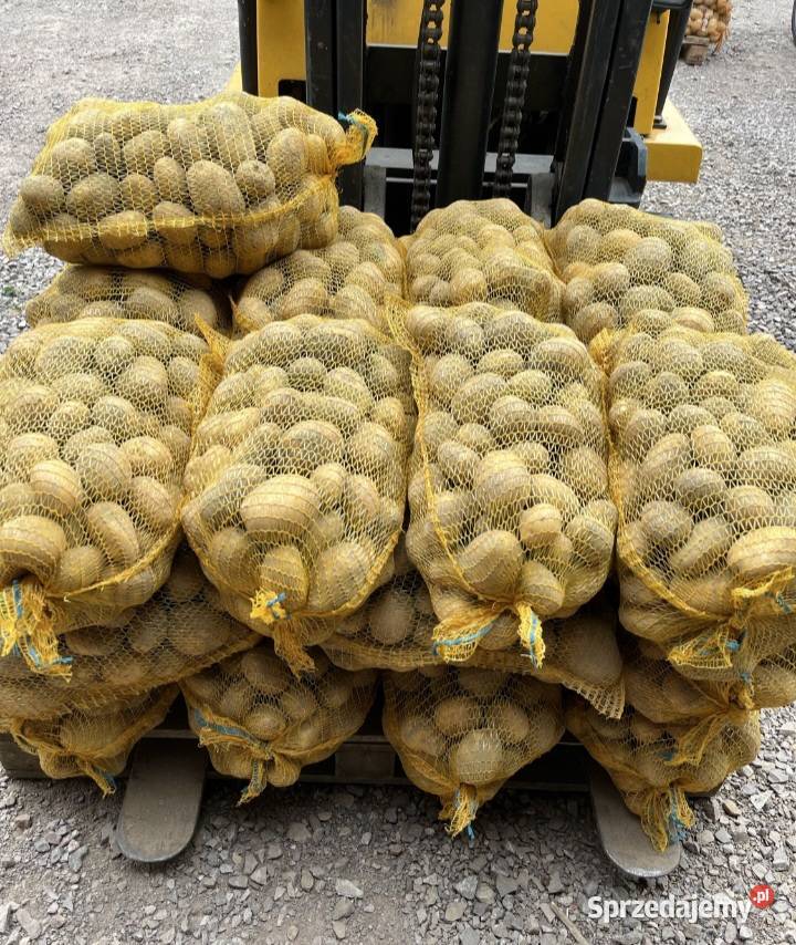 Ziemniaki soraya małopolskie Słomniki