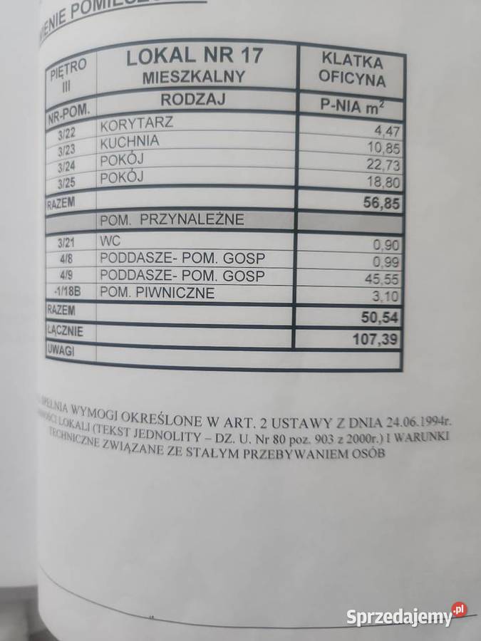 Poznań Jeżyce mieszkanie strych do adaptacji 2 sprzedam