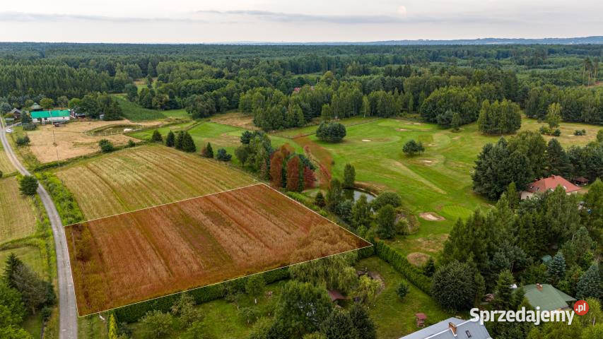 sprzedaży działki Krzywa 3100m2 68m