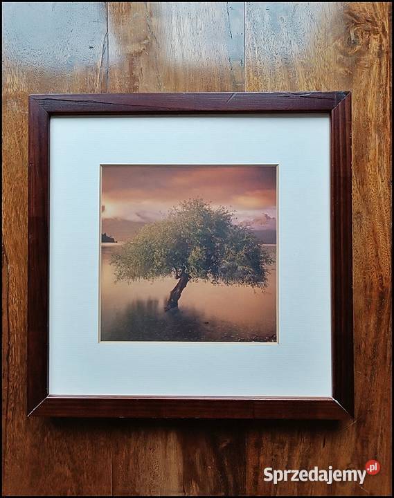 Ramka ze zdjęciem Drzewa drewniana z Obrazki i obrazy Warszawa