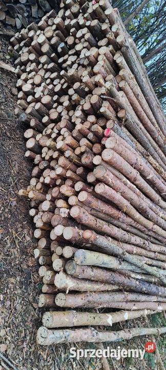 Stemple budowlane kołki do ogrodzeń tymczasowych Szczyty sprzedam