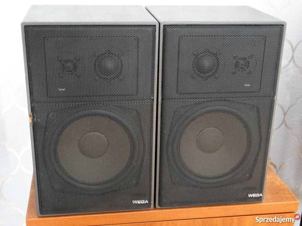 Monitor Wega Direct 2 Sony Vintage WYSYŁKA podkarpackie sprzedam