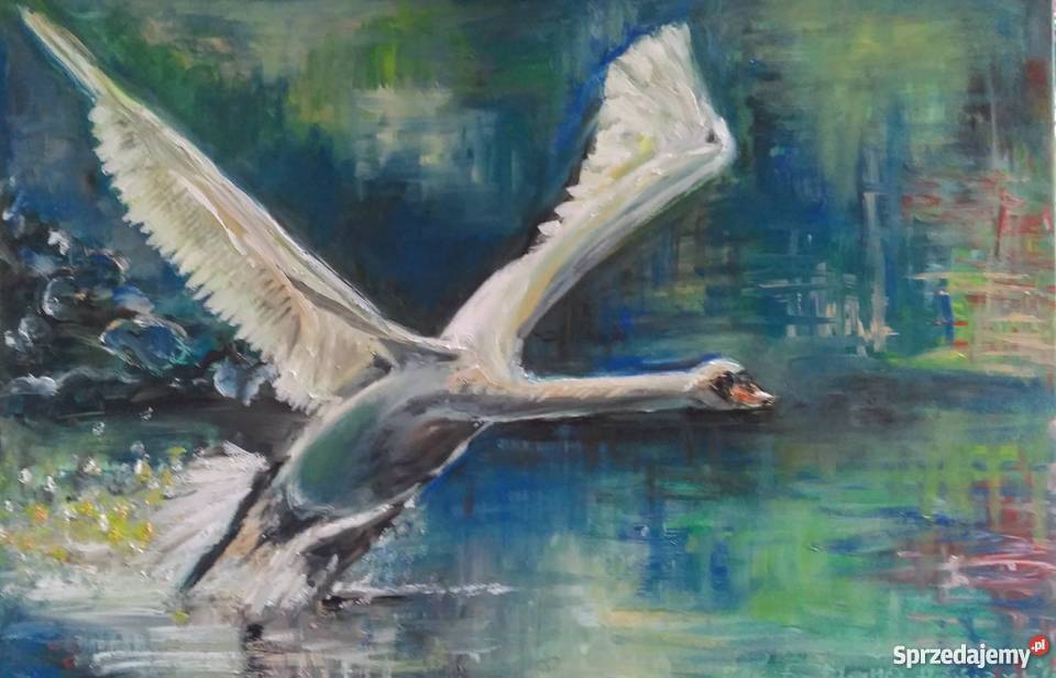 Obraz olejny Jeziorem 60 x 80 Szczecin