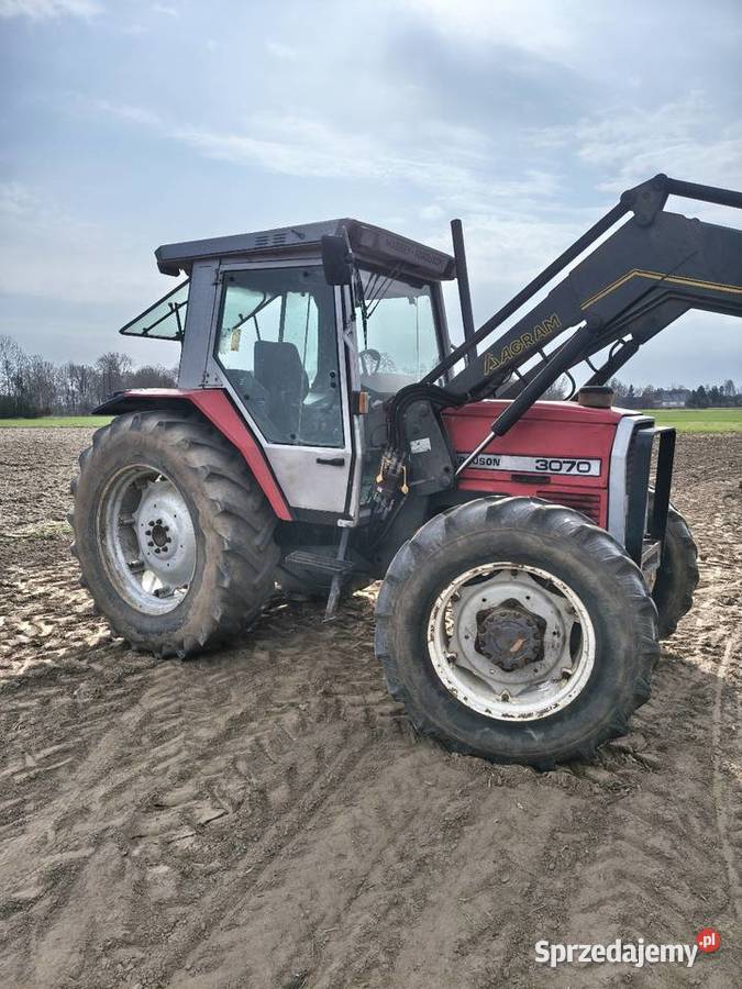Massey Ferguson 3070 z turem Uniejów
