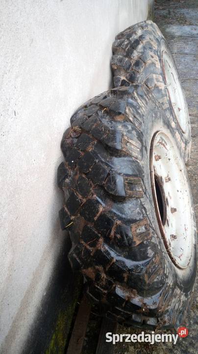 Koła 100018 Star sam es małopolskie Włosienica