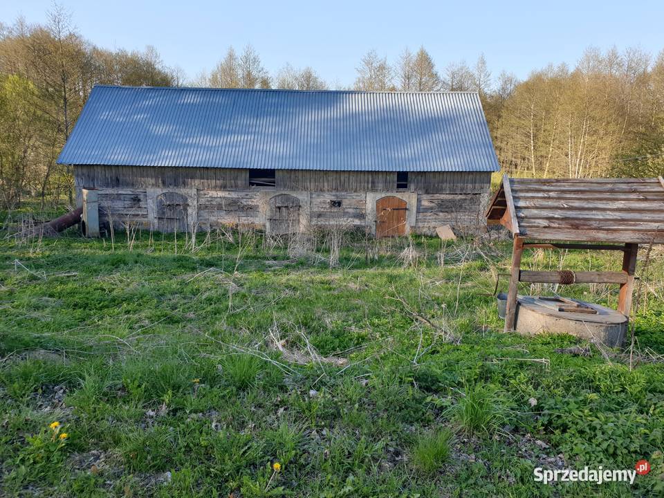 HAŃCZAsiedlisko i ziemia orna i leśna 117470m2 Suwałki